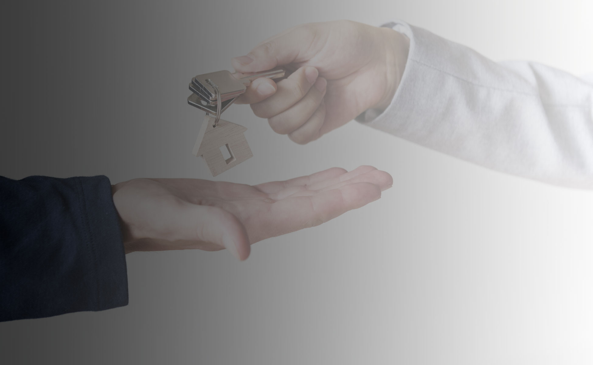 Buying a Property Advice